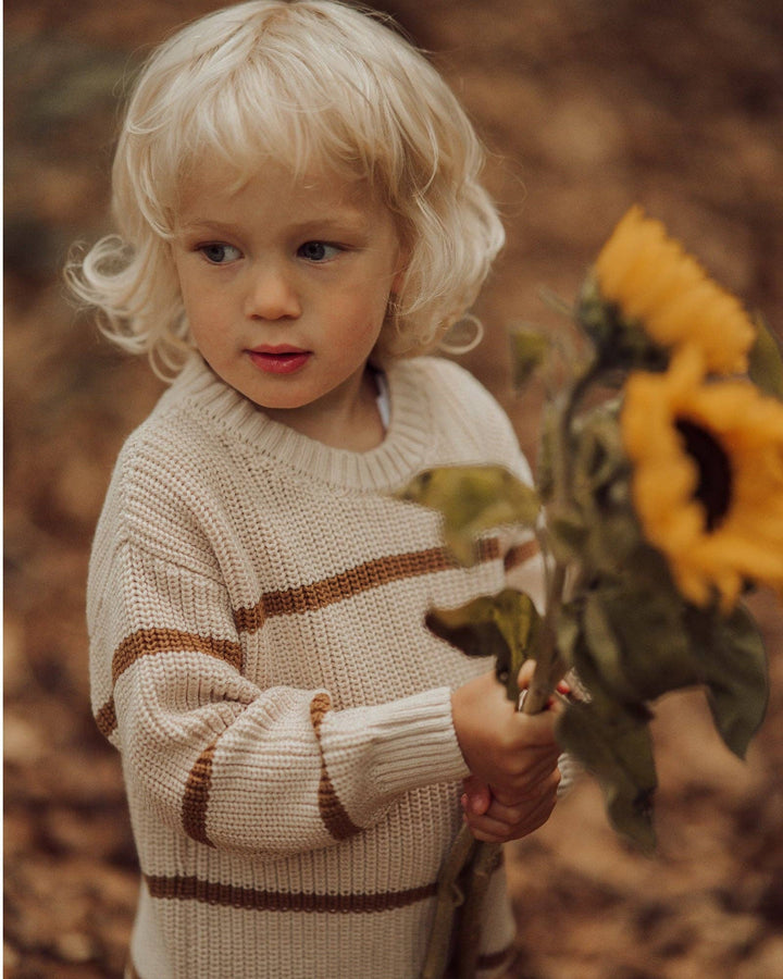 Beige & Brown Stripe Sweater